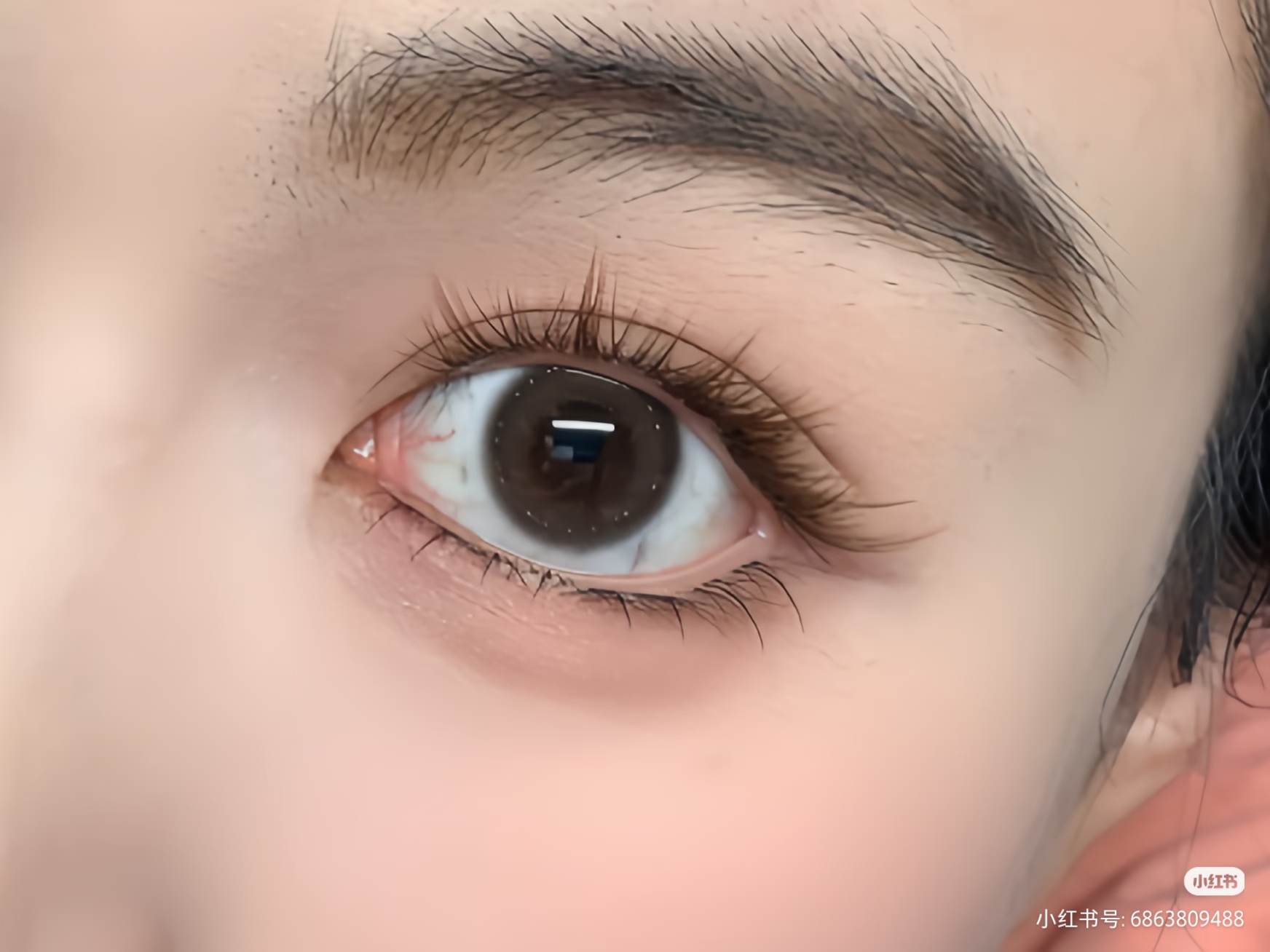 Natural Strip Lash
